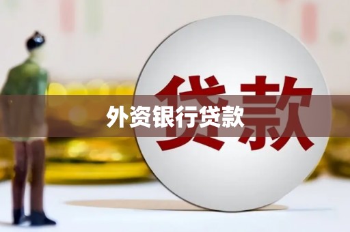 两江新区外资银行贷款