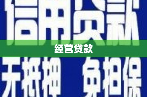 两江新区经营贷款