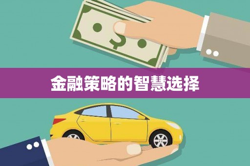 两江新区金融策略的智慧选择