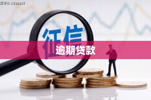 两江新区逾期贷款