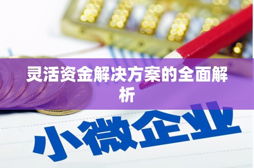 两江新区灵活资金解决方案的全面解析