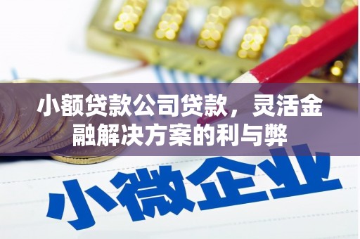 两江新区小额贷款公司贷款，灵活金融解决方案的利与弊